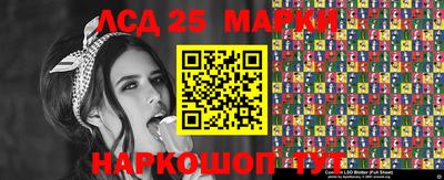 сатива Ставрополь