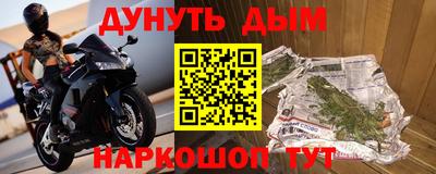 сатива Ставрополь