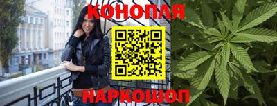сатива Ставрополь
