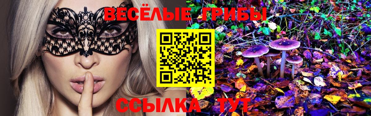 Нововоронеж  Галлюциногенные грибы GOLDEN TEACHER  Галлюциногенные грибы MAGIC MUSHROOMS  Вход с VPN 