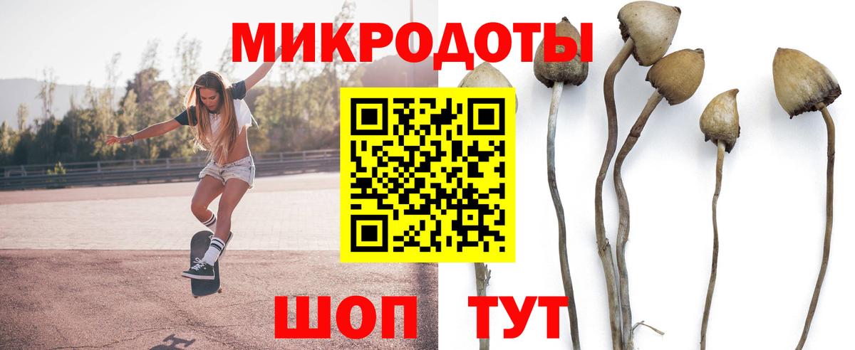 Галлюциногенные грибы прущие грибы Нововоронеж